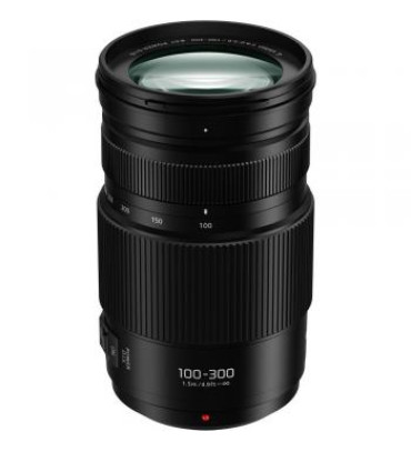 Panasonic Lumix G Vario 100-300mm f/4-5.6 II POWER O.I.S. Lens